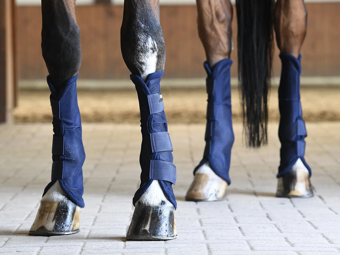 Busse Fly Boots Comfort