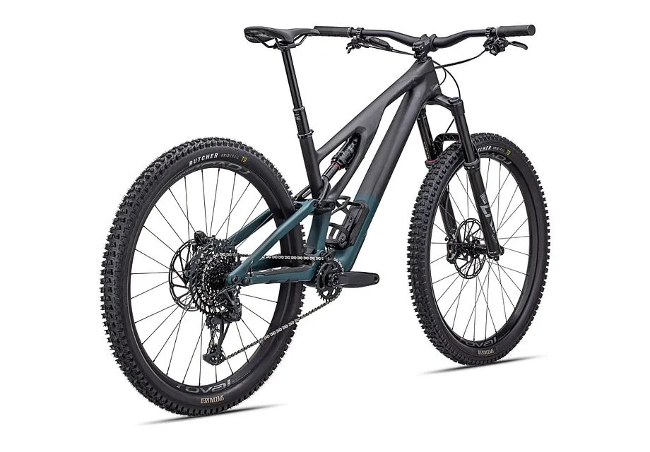 Specialized Stumpjumper Evo RS